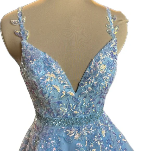 EUC Amarra Tulle and Leaf Lace Embroidered Ball Gown - Picture 2 of 12